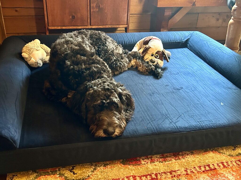 Image #2 from Rebecca Rust