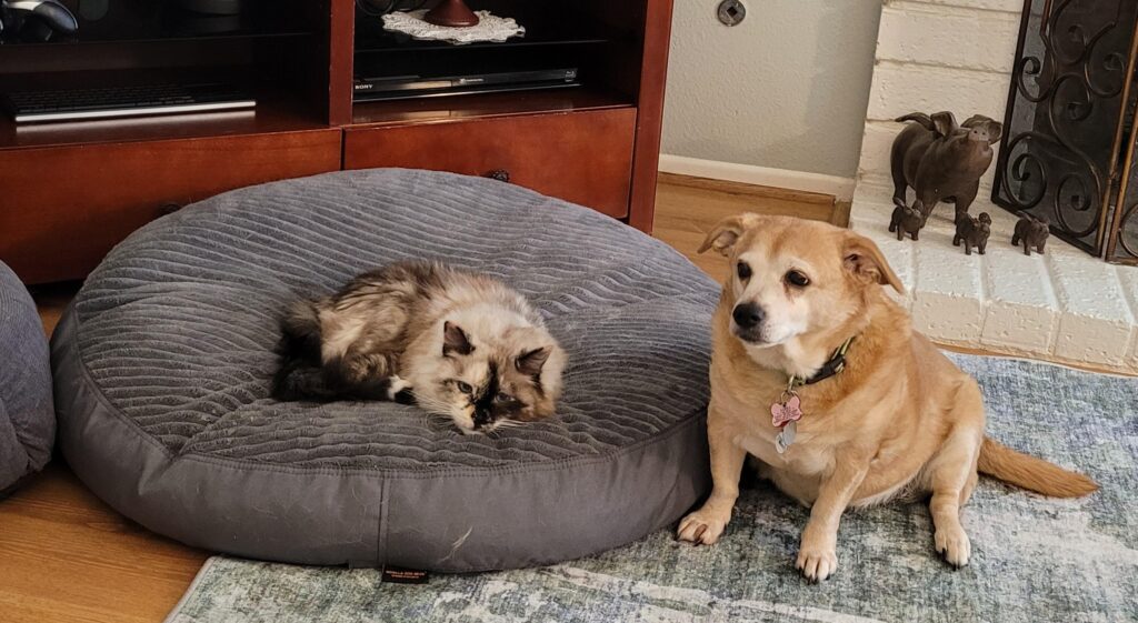 Image #2 from Stacey Williams