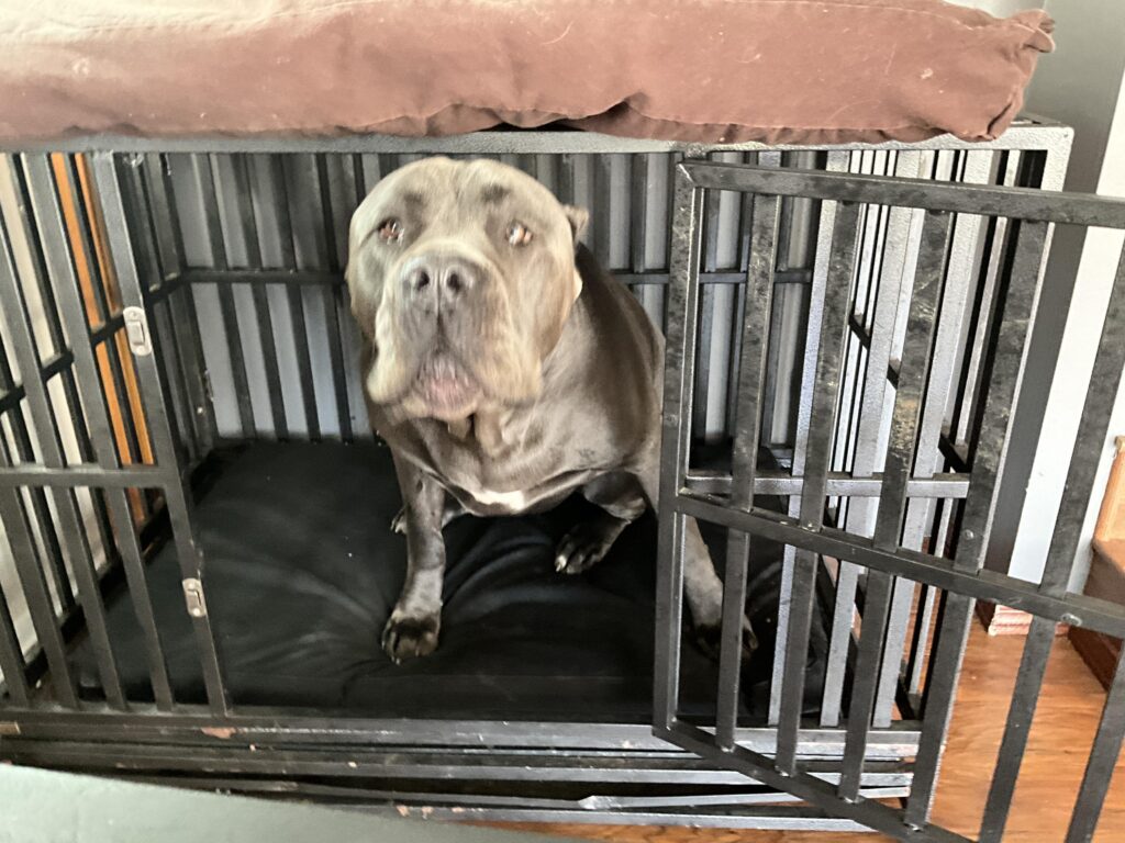 Image #1 from Brenda Dyer