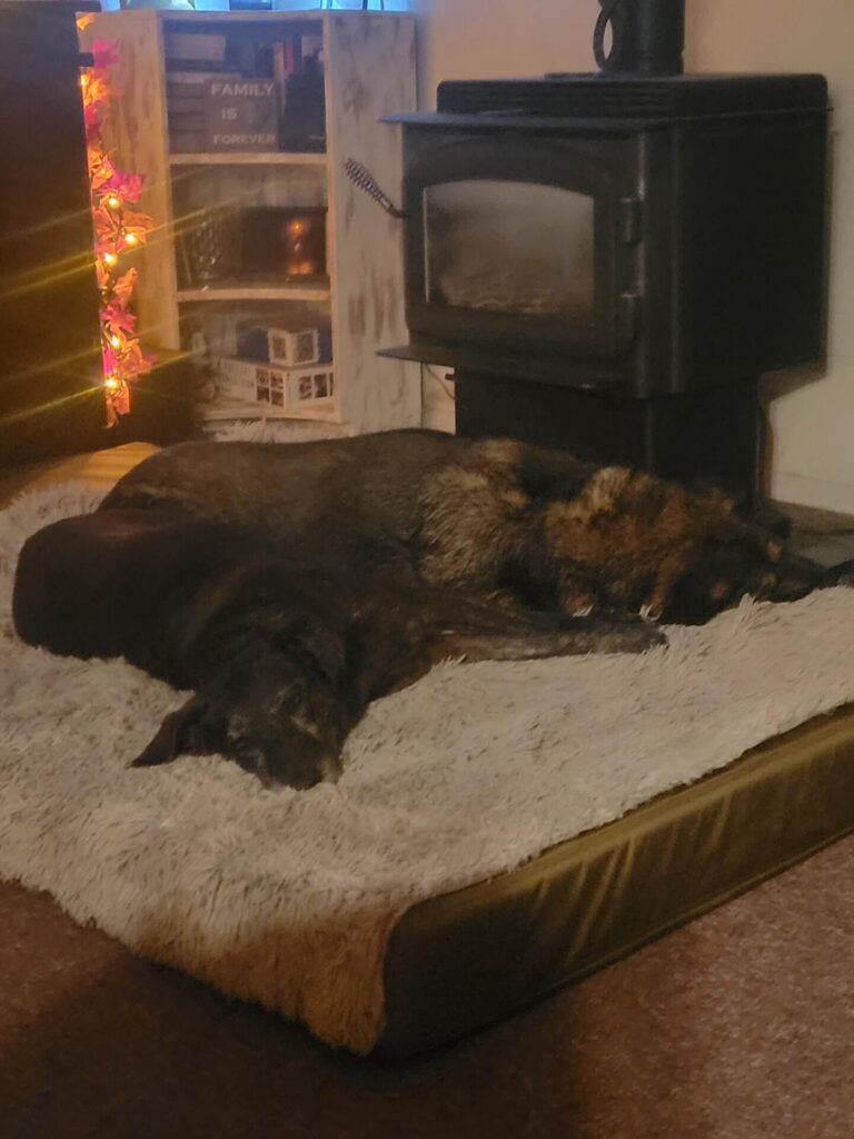 Image #1 from TONI MICK