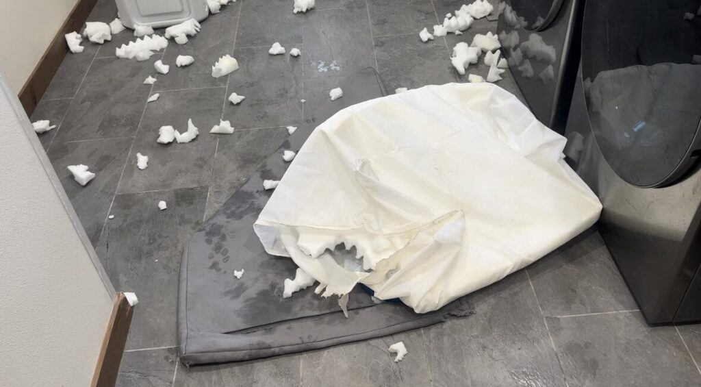 Image #2 from Nancy Dibble