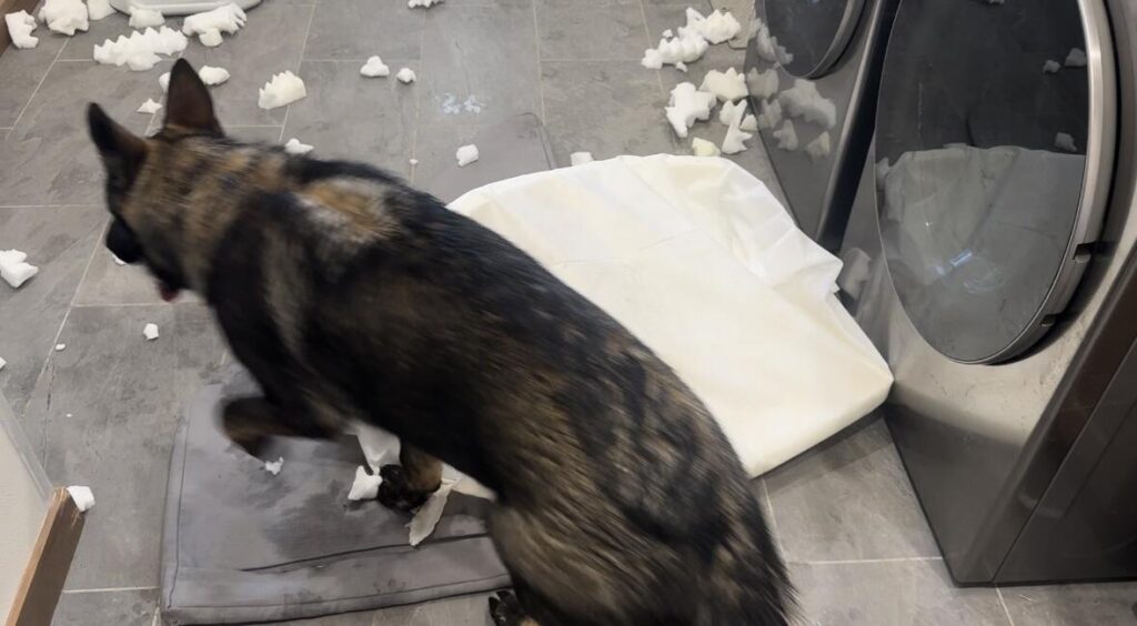 Image #1 from Nancy Dibble