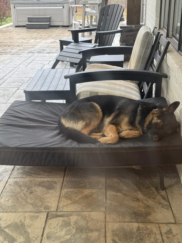 Image #1 from Vivian Roper