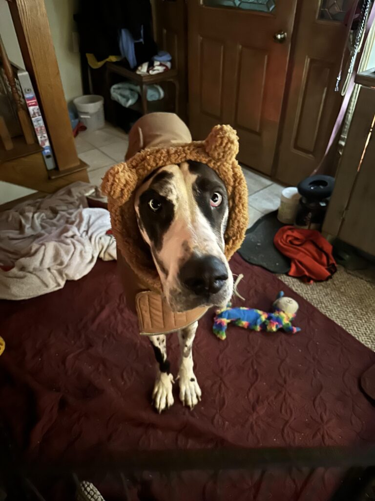 Image #1 from Willow’s mom