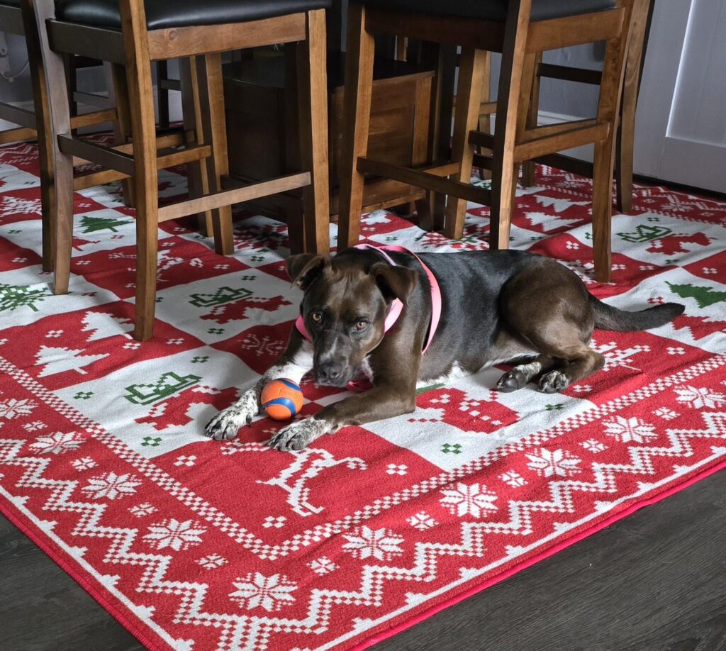 Image #1 from Marie W.