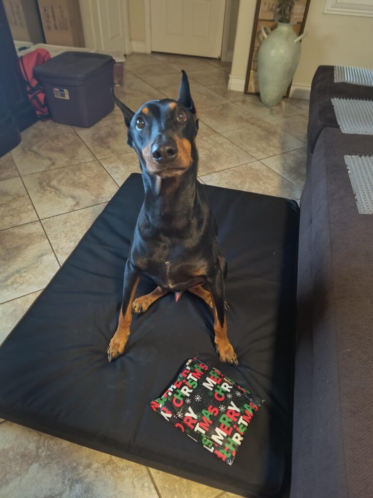 Image #1 from Catherine Macari