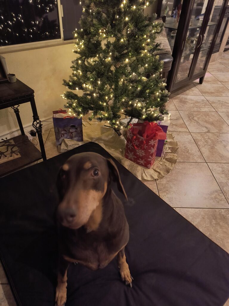 Image #2 from Catherine Macari