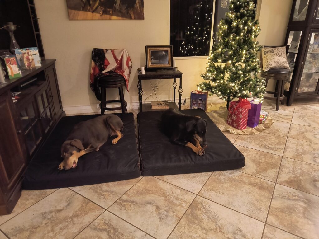 Image #3 from Catherine Macari