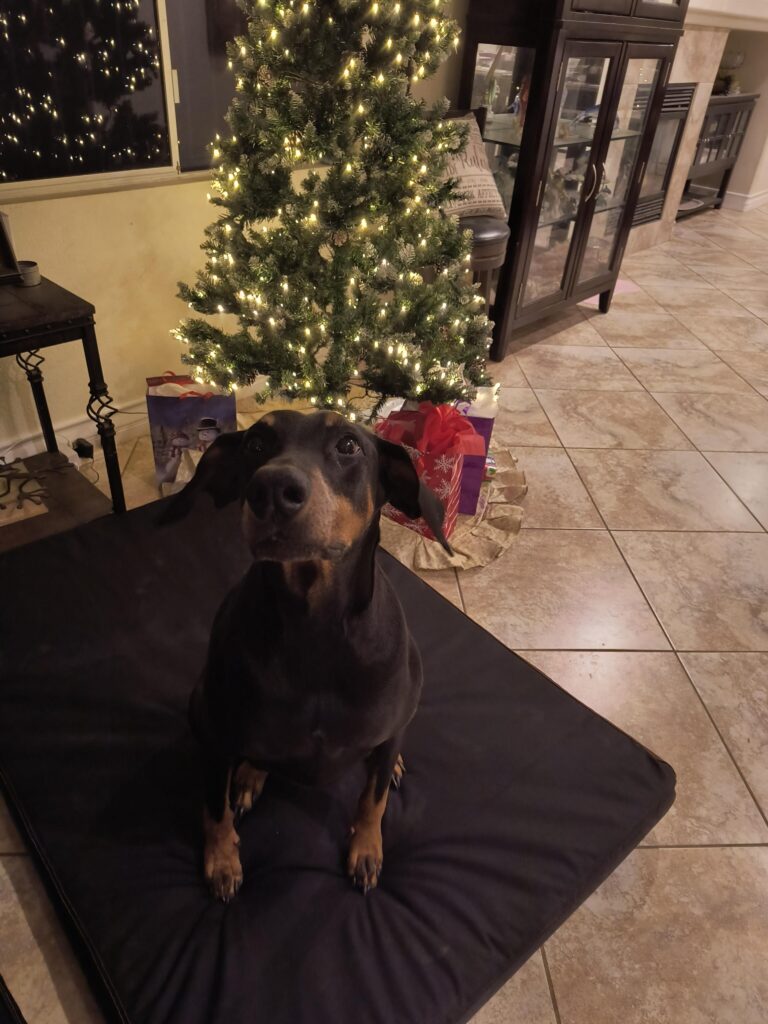 Image #4 from Catherine Macari