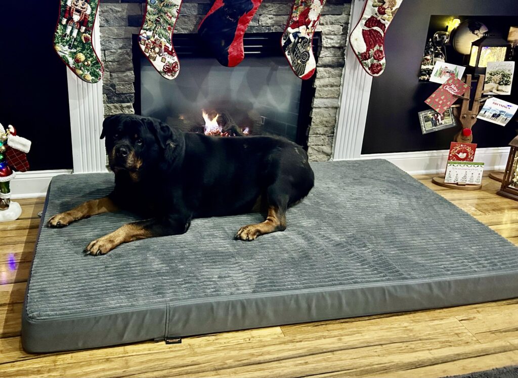 Image #1 from Campbella194