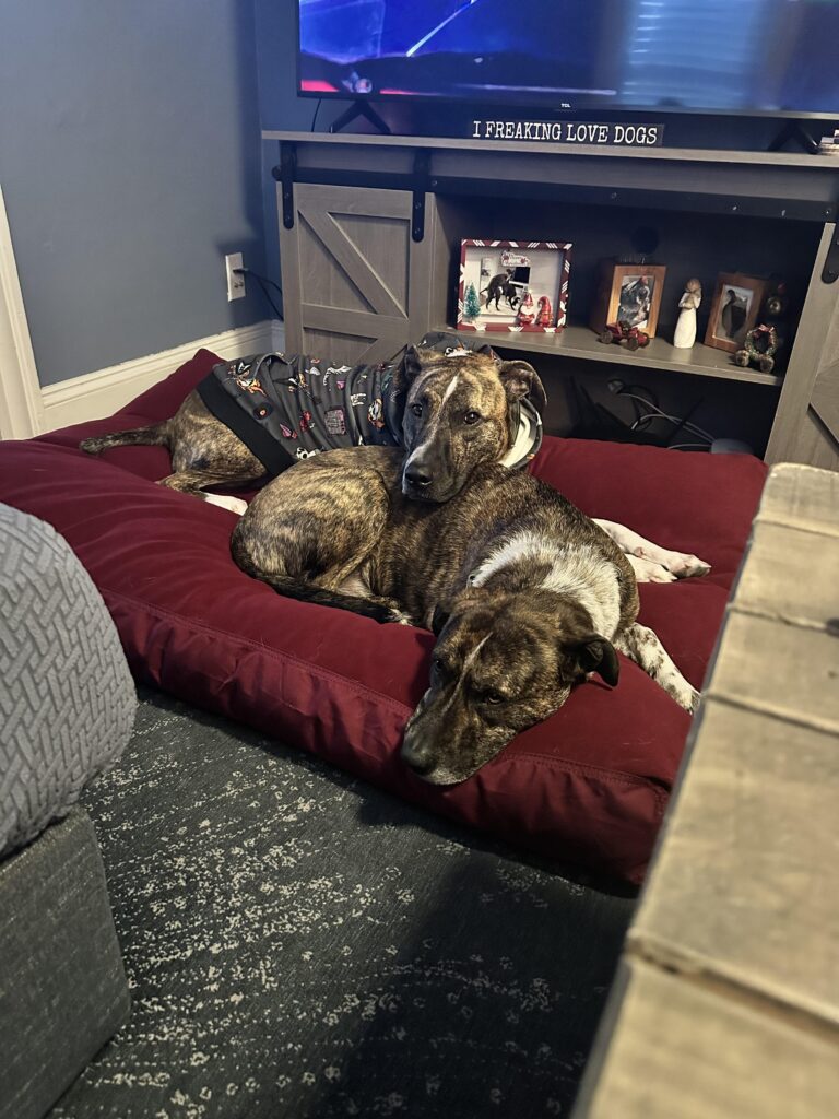 Image #1 from Sandra