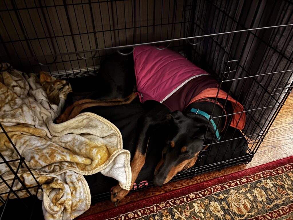 Image #1 from Larry Brace