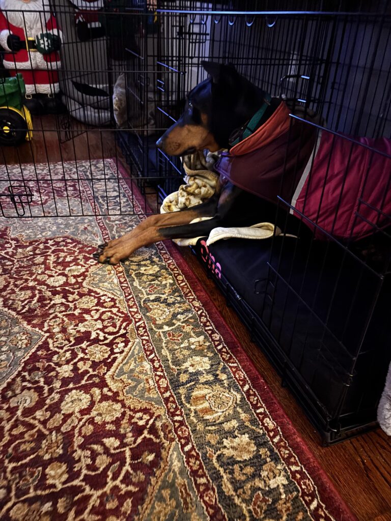 Image #2 from Larry Brace