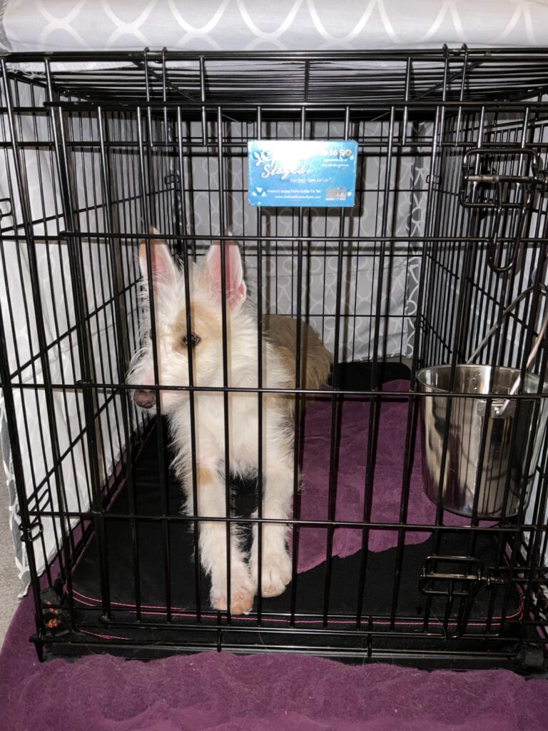 Image #1 from Lexandra Creitz