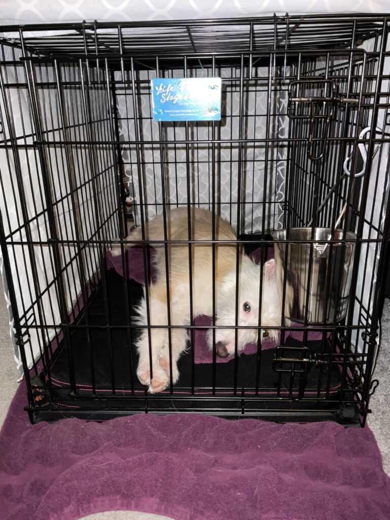 Image #2 from Lexandra Creitz