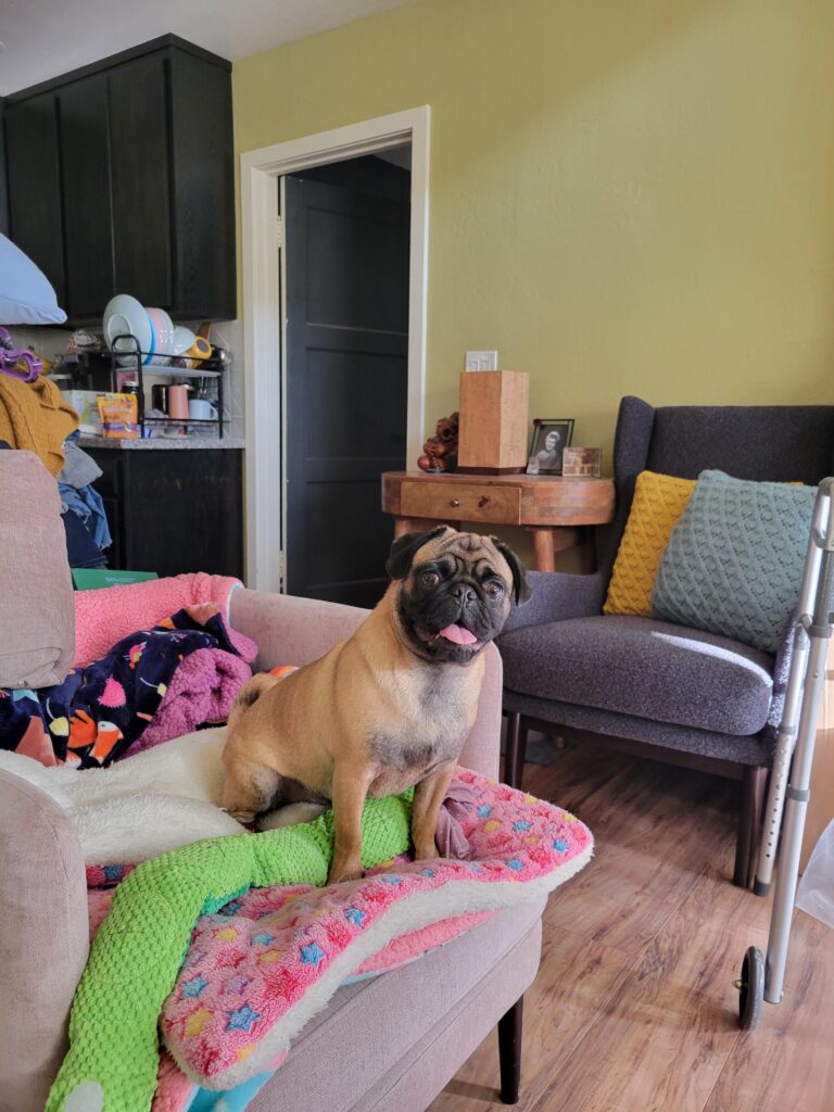 Image #1 from Katrina Sadler