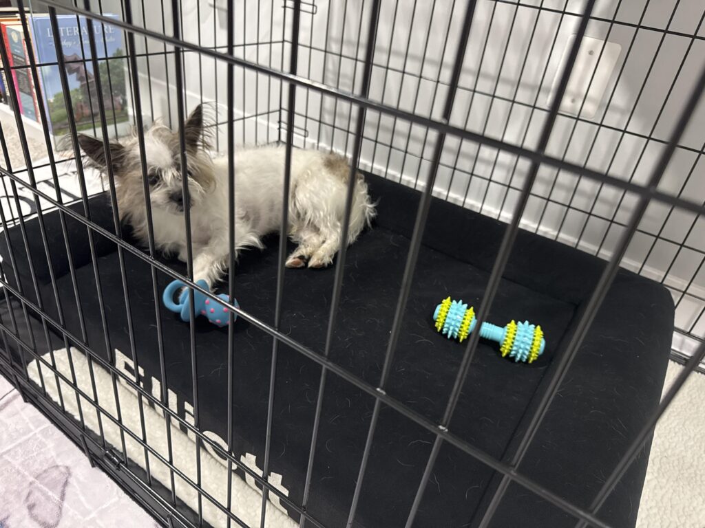 Image #1 from Jada Stubblefield