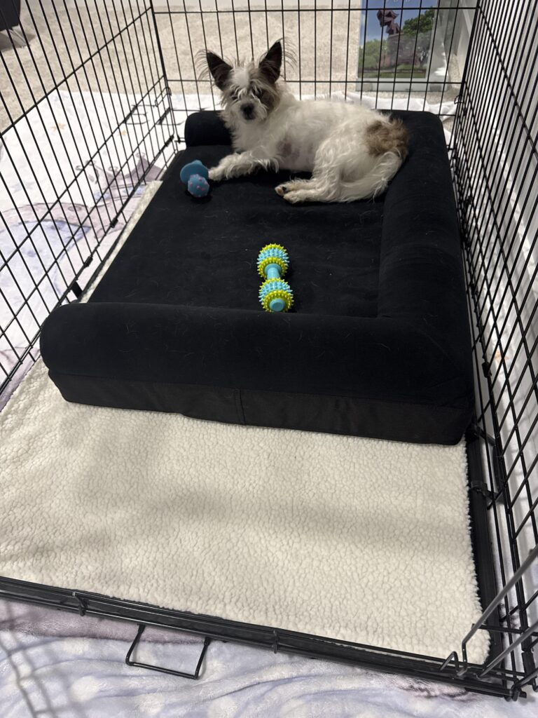 Image #2 from Jada Stubblefield