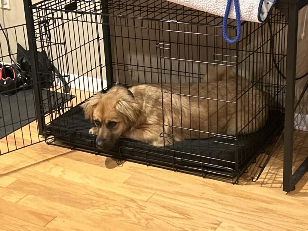 Image #1 from Maura Lugo