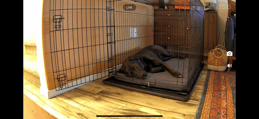 Image #1 from Beckie