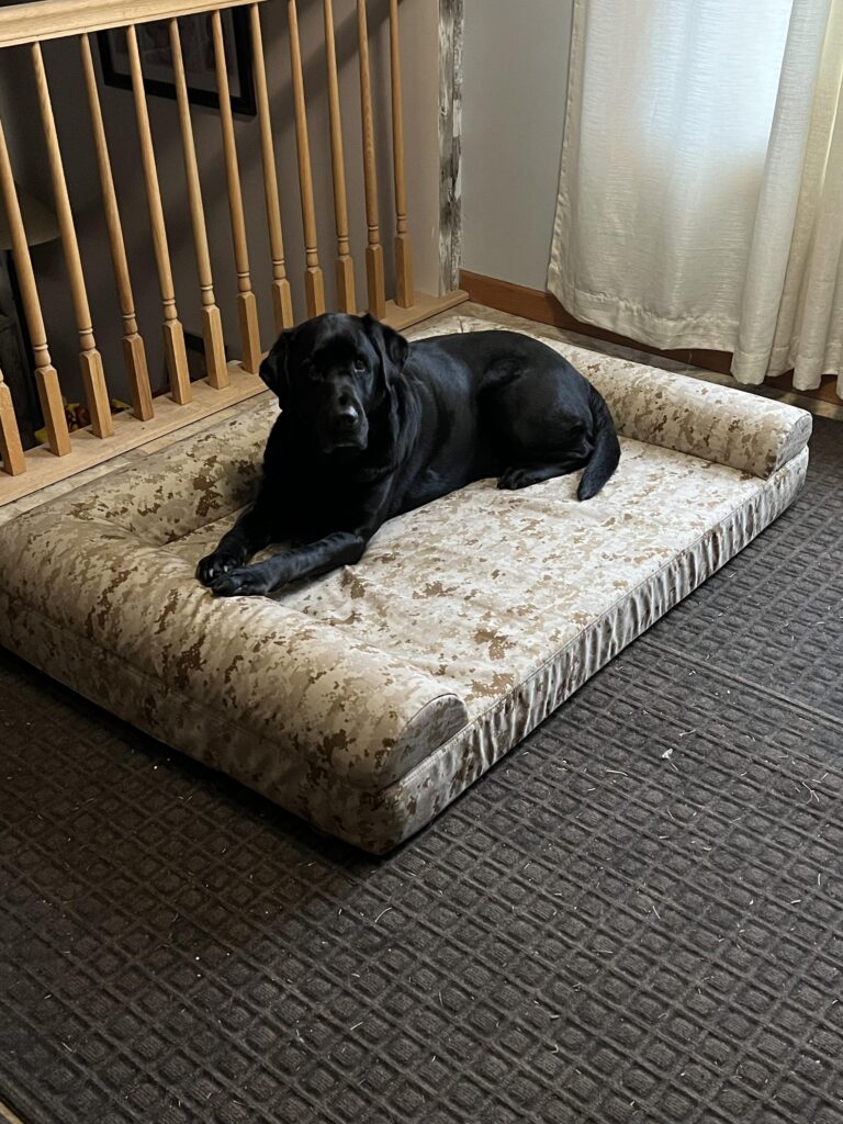 Image #1 from Sabra Barowski