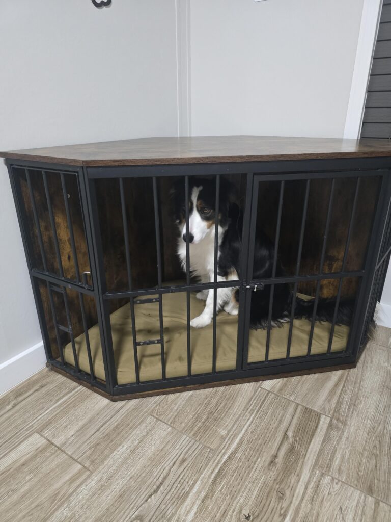 Image #1 from Ozzy Badosa