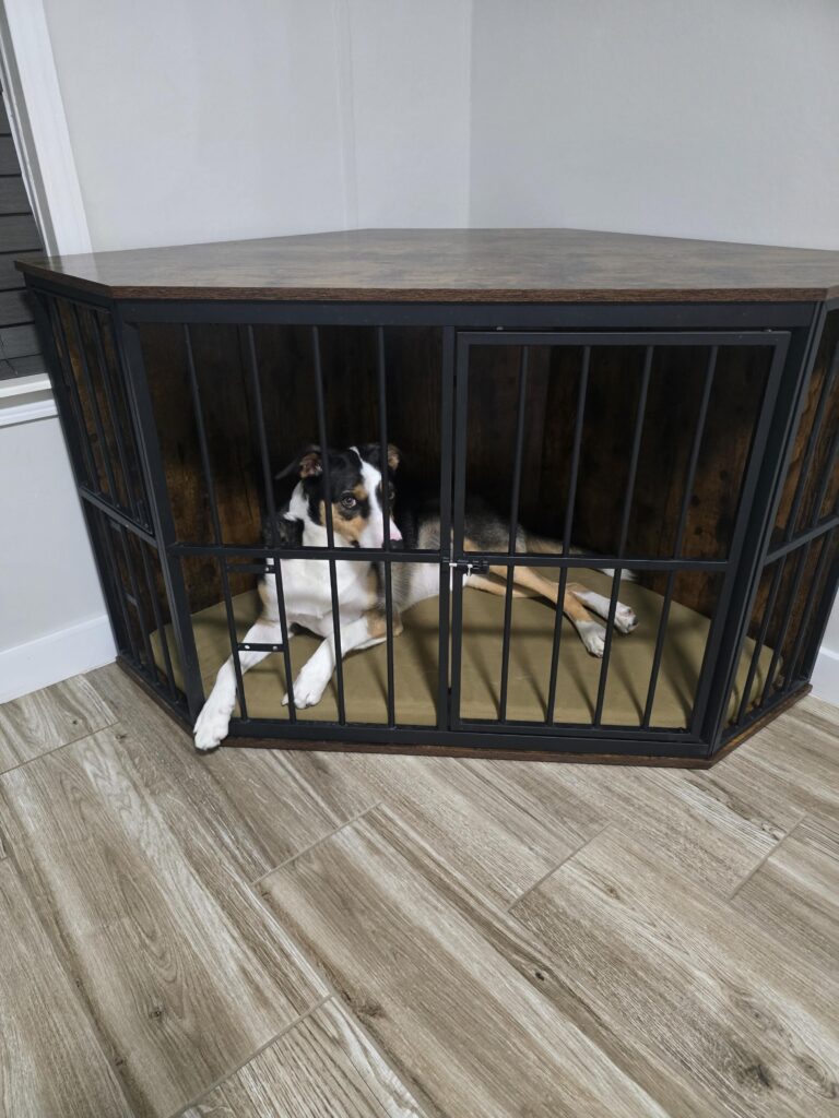 Matching Your Dog Bed to Your Home D&eacute;cor