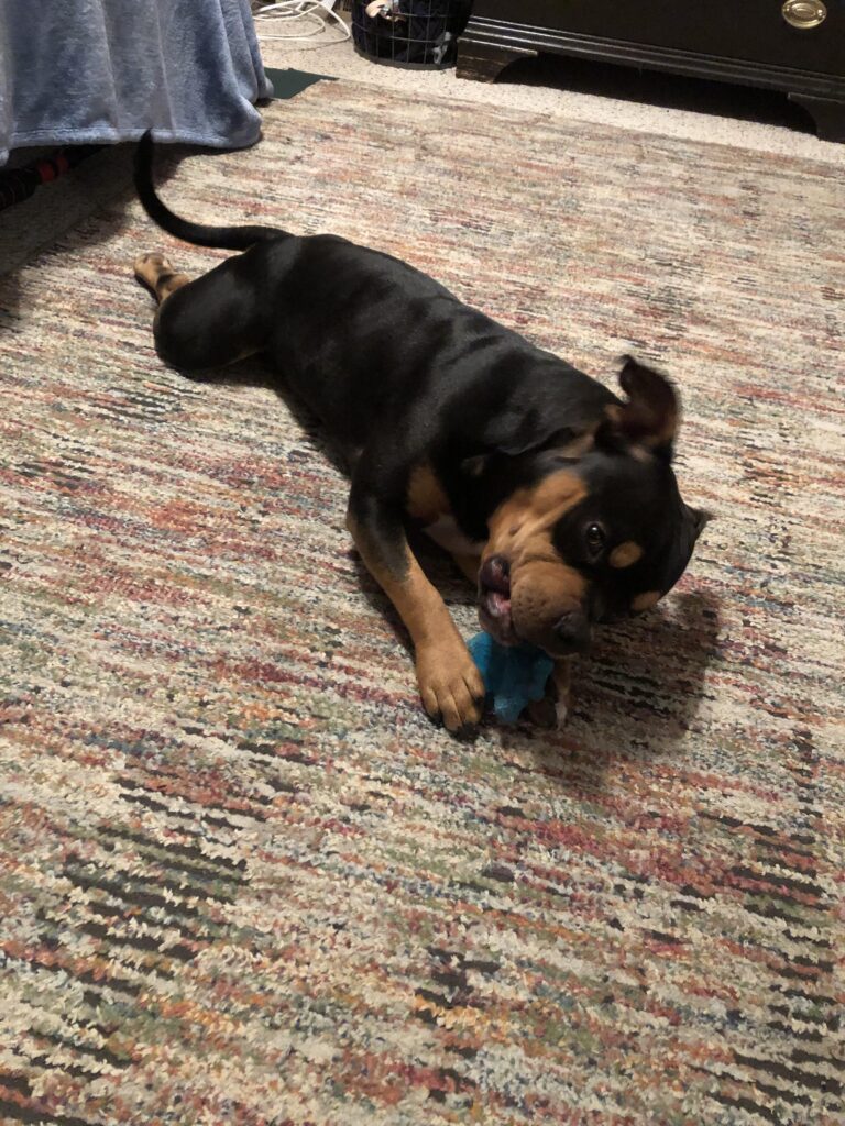 Image #1 from Marcel Moser