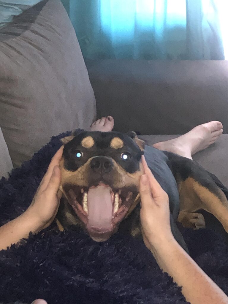 Image #2 from Marcel Moser