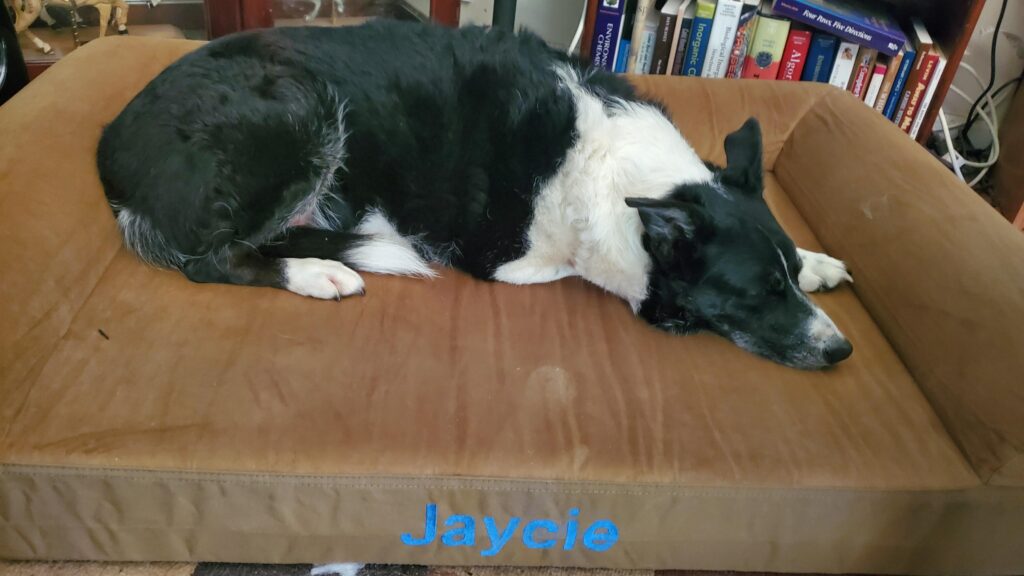 Image #1 from Rebecca Clark