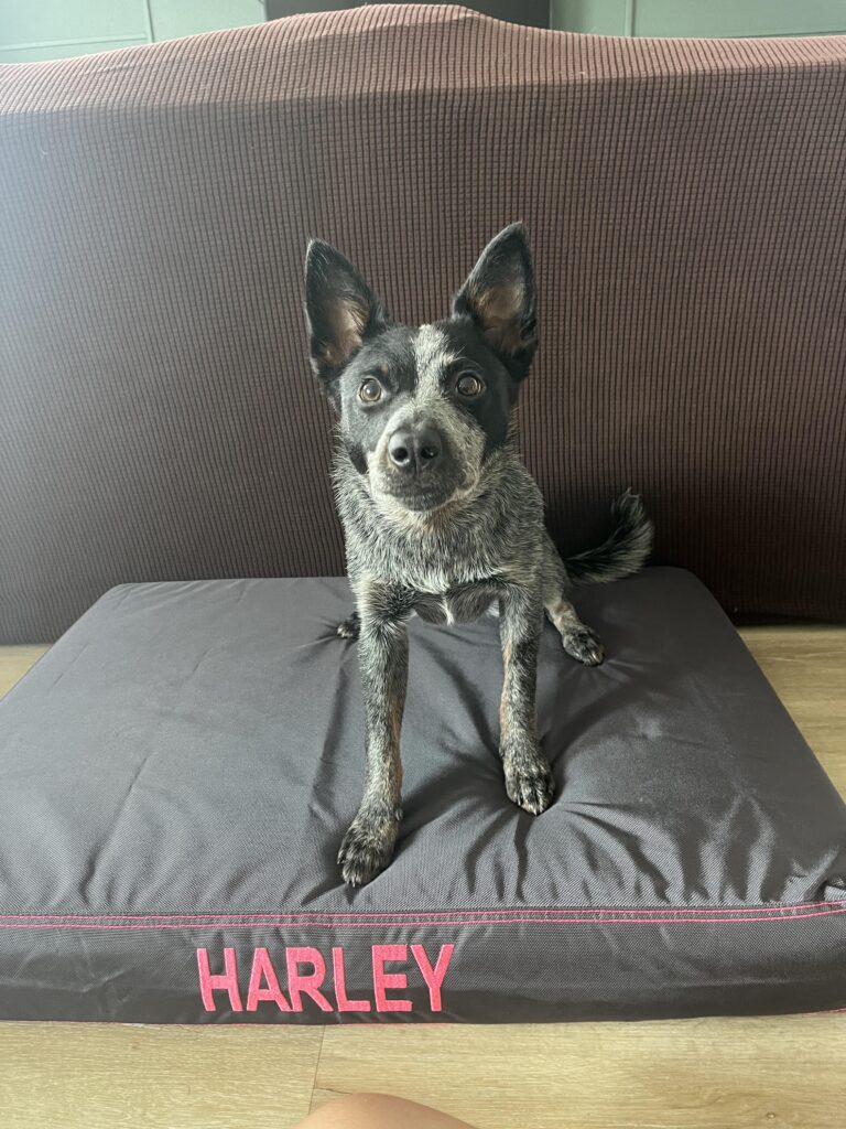 Image #1 from Julie Hirth