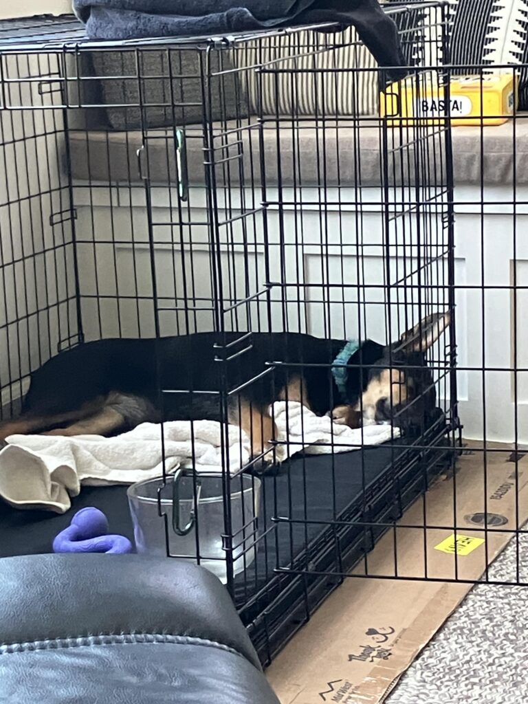 Image #1 from Amanda Orand