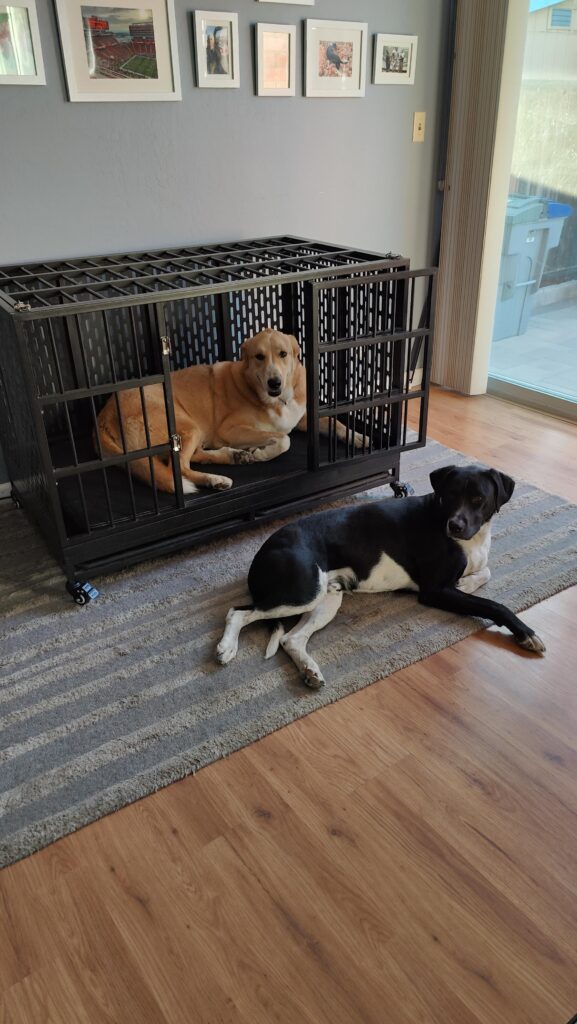 Image #1 from Sarah Skiver