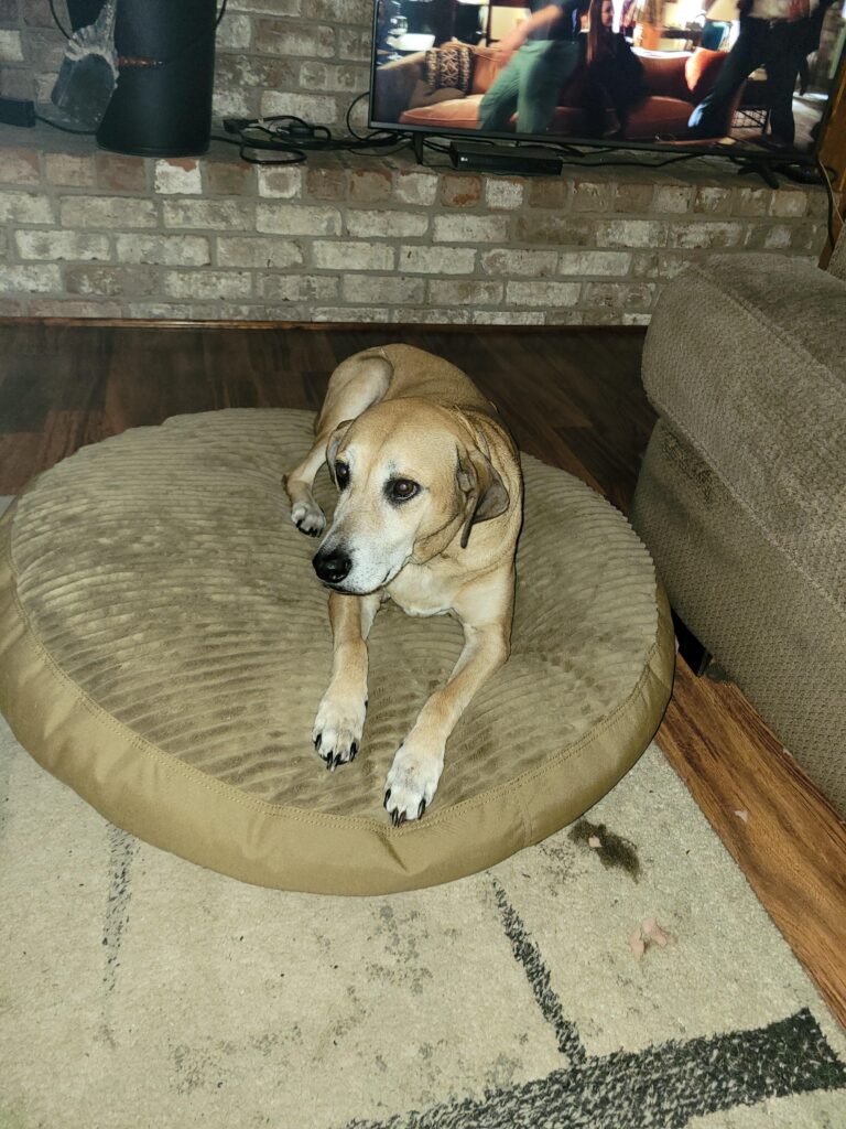 Image #1 from Laura Mesler