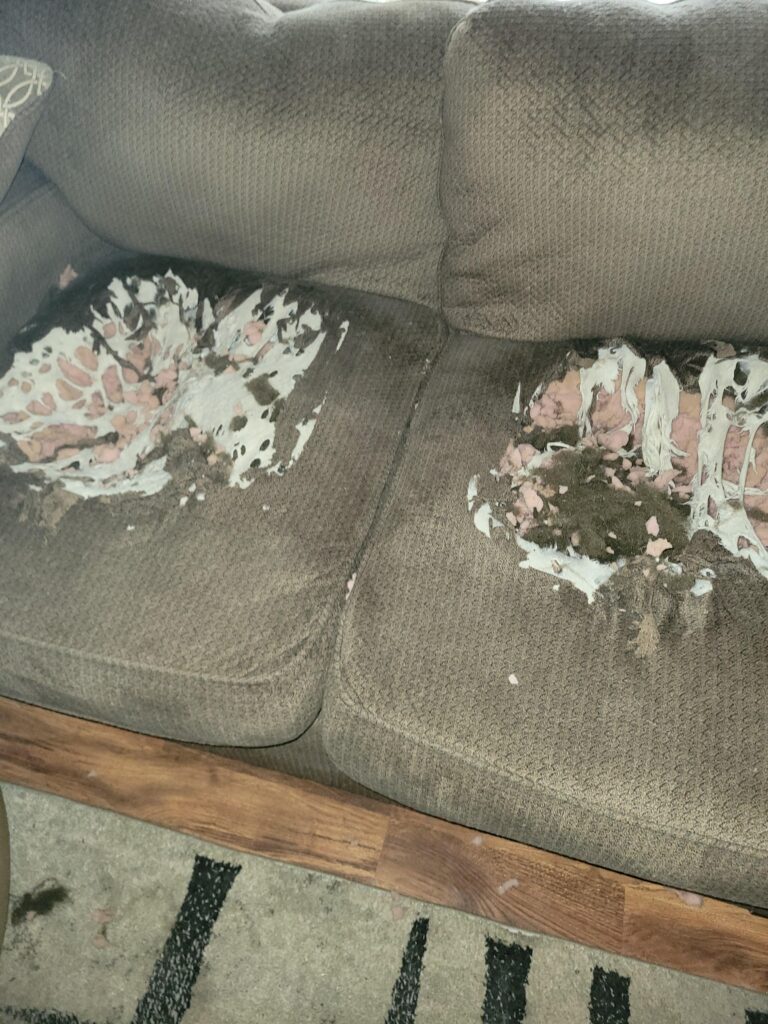 Image #2 from Laura Mesler