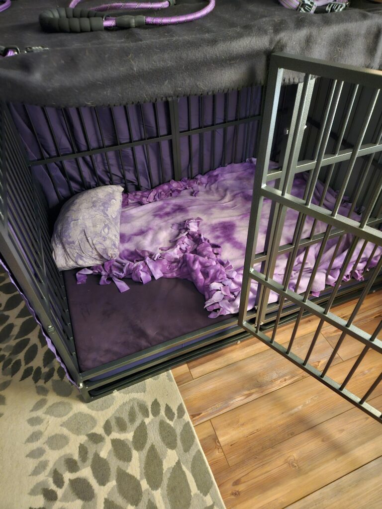 Image #1 from Z Mitchel