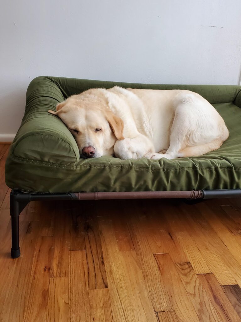 Image #1 from Susan H