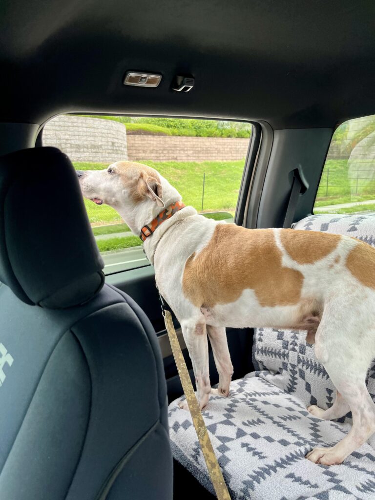 Image #1 from Jason Pelszynski