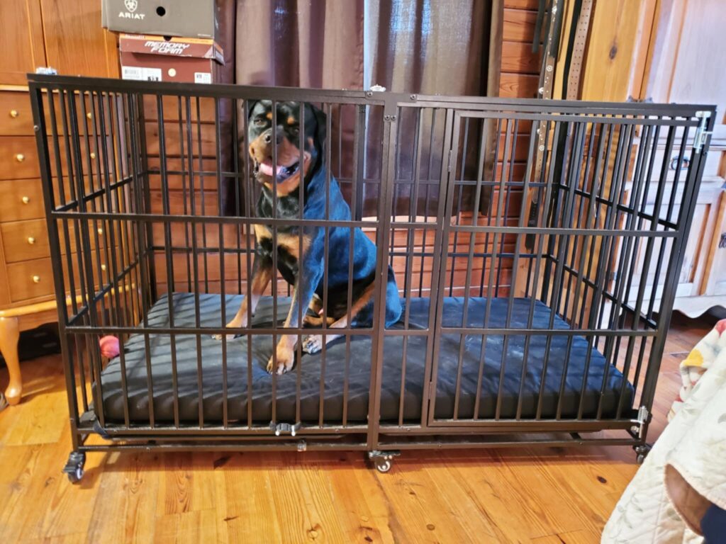 Image #1 from Bill Wilk