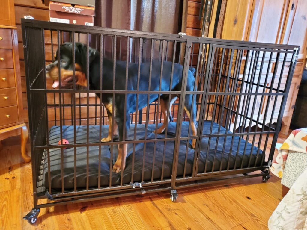 Image #2 from Bill Wilk