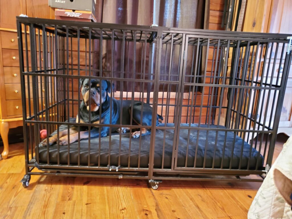 Image #3 from Bill Wilk