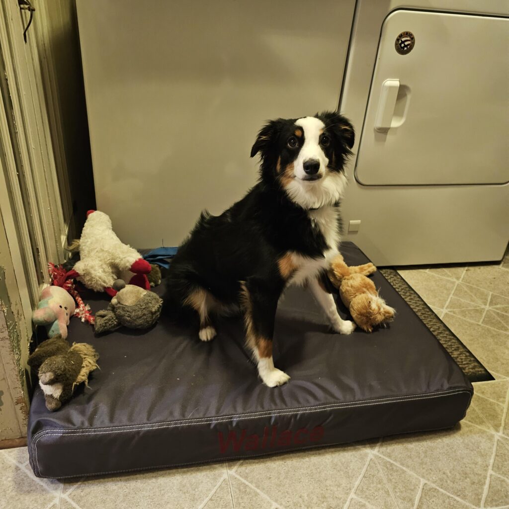 Image #1 from Linda Stoner