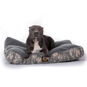 how do i choose a dog bed