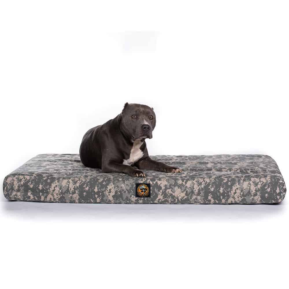 Orthopedic Dog Beds For Sale Orthopedic Foam Dog Beds