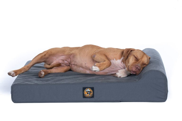 Ultra Vel Tough Bolster Orthopedic Dog Bed™ - Chew Proof Dog Beds