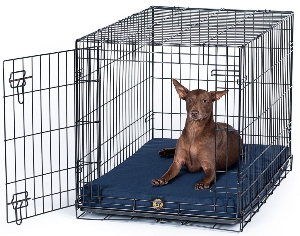 ChewProof Dog Beds Indestructible Dog Beds for Sale
