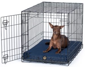 https://gorilladogbeds.com/wp-content/uploads/Category-Chew-Proof-Dog-Crate-Pads-e1596494524584-300x236.jpg