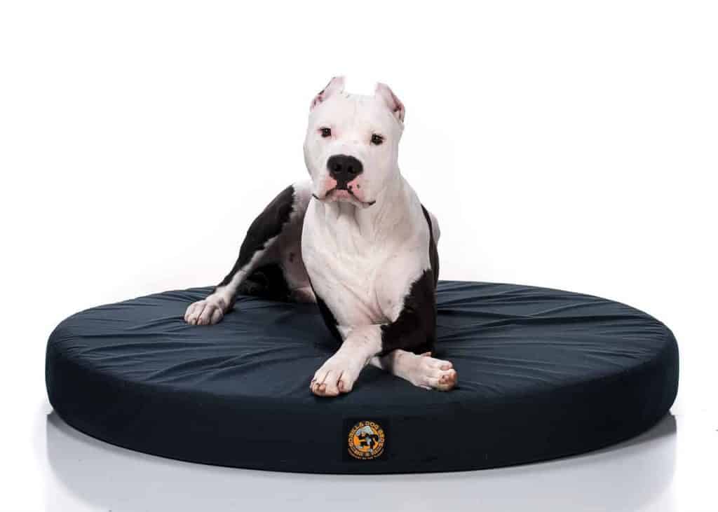 Gorilla Dog Beds® Tough Round Orthopedic Dog Bed Gorilla Dog Beds®