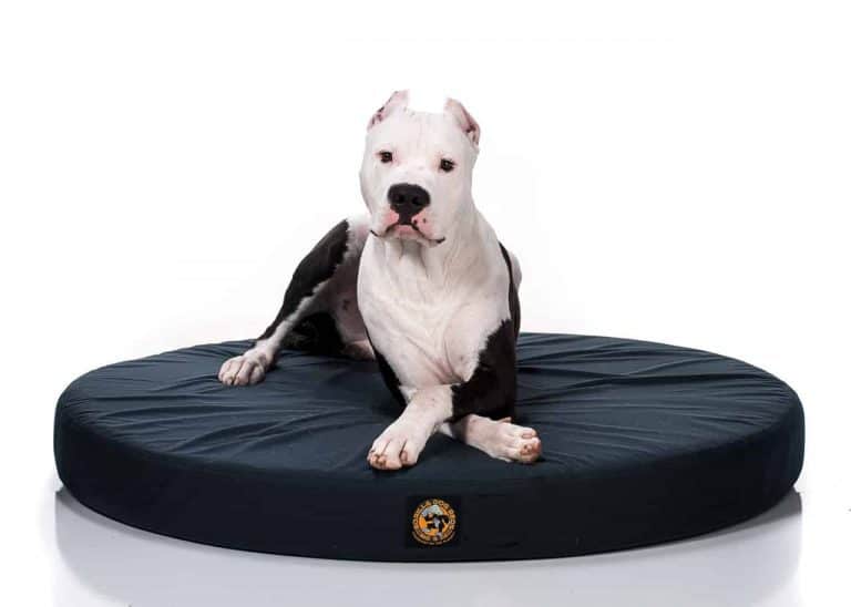Gorilla Dog Beds® Tough Round Orthopedic Dog Bed Gorilla Dog Beds®
