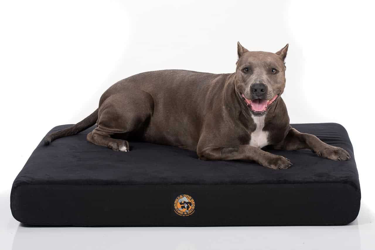 Ultra Vel Cordura Rectangular Orthopedic Dog Bed
